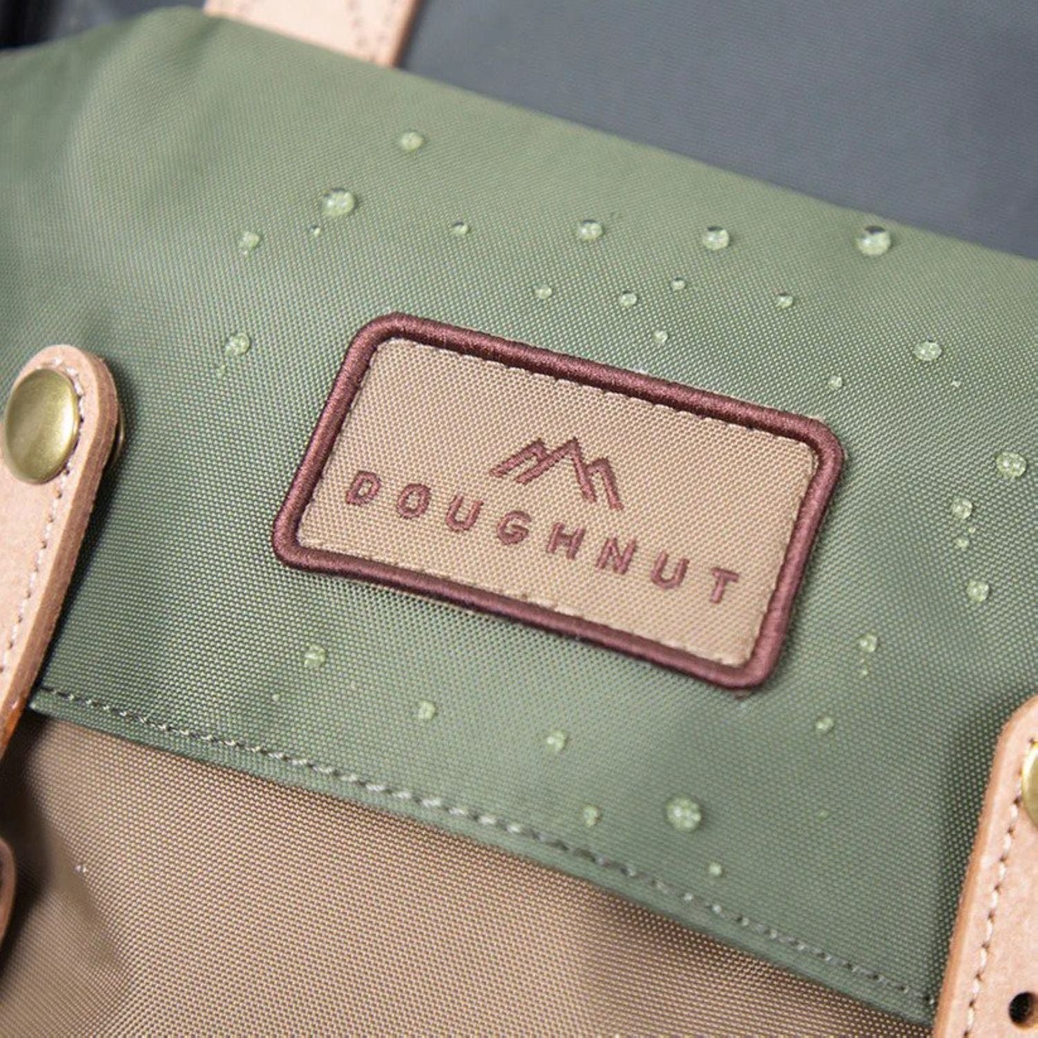 Doughnut Macaroon Jungle Series - Charcoal X Teal