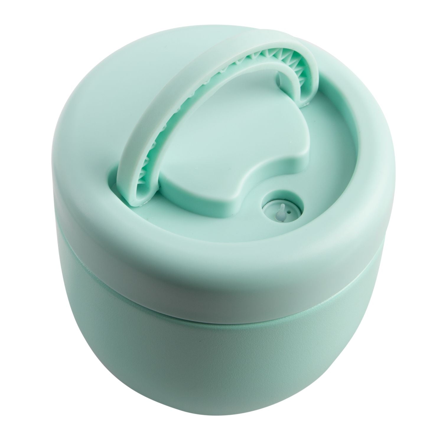 Oasis Stainless Steel Insulated Food Container with Handle 470ML - Mint