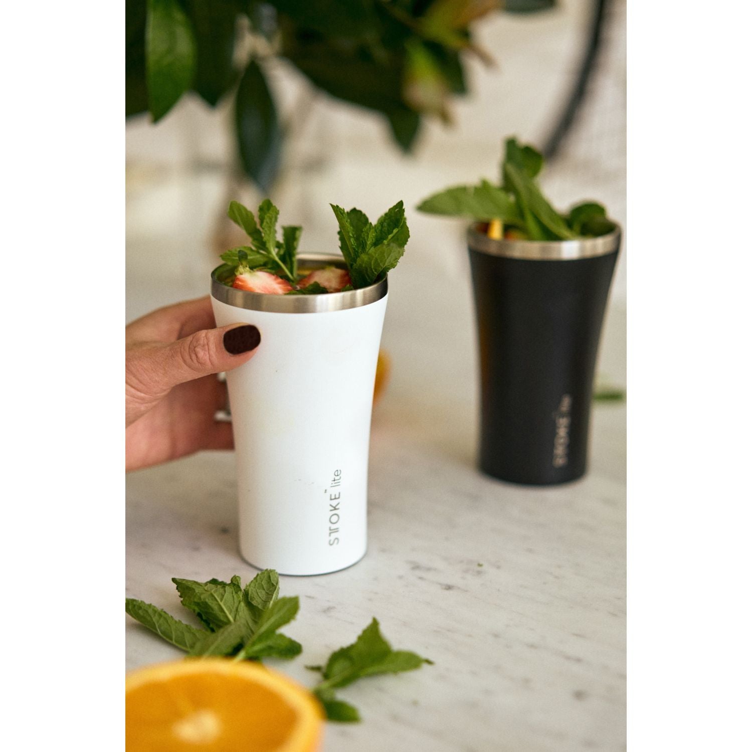 STTOKE Lite Insulated Cup 12oz - Frost White