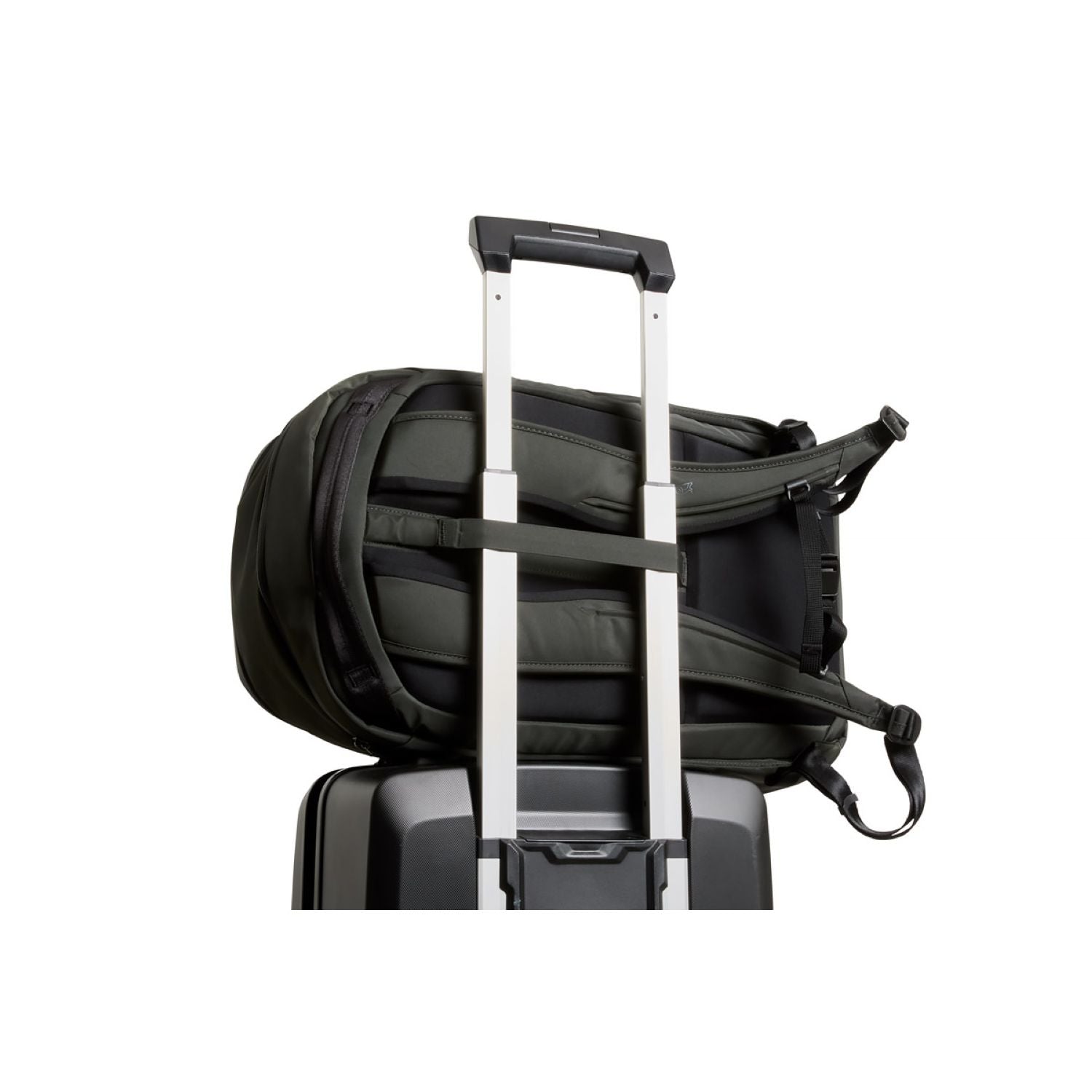 Bellroy Transit Workpack 26L - Olive