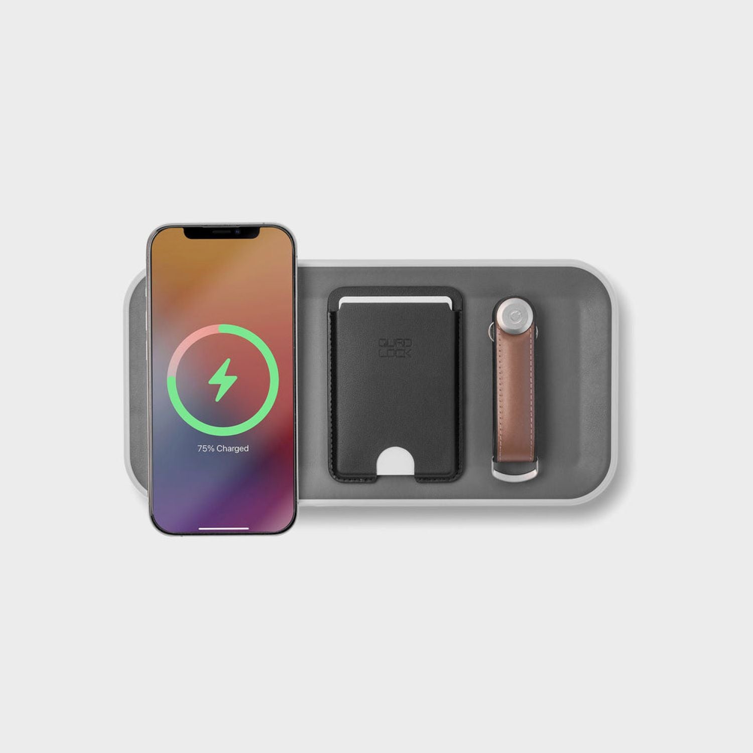 Orbitkey Nest - Ash V2