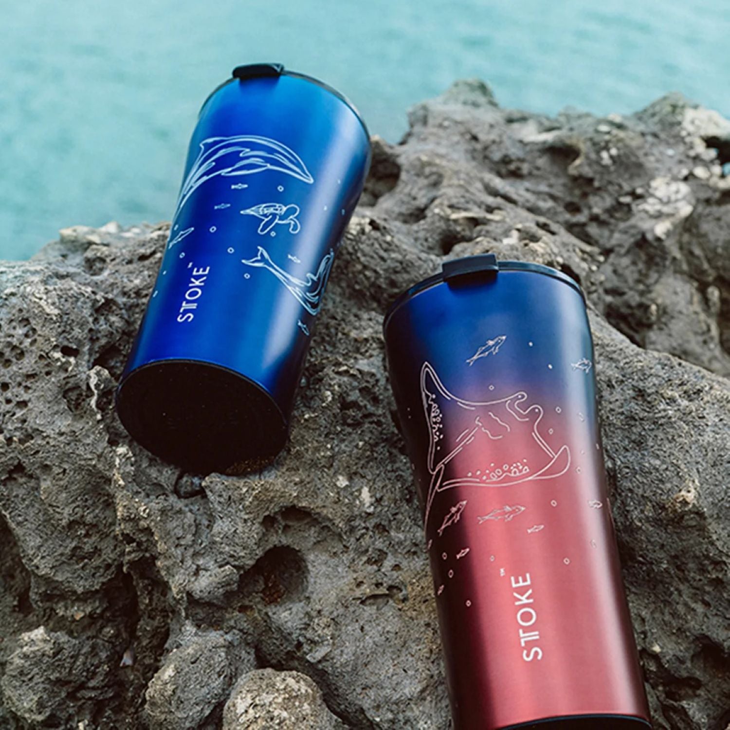STTOKE Limited Edition Leakproof Ocean Series Insulated Cup 12oz - Manta Ray