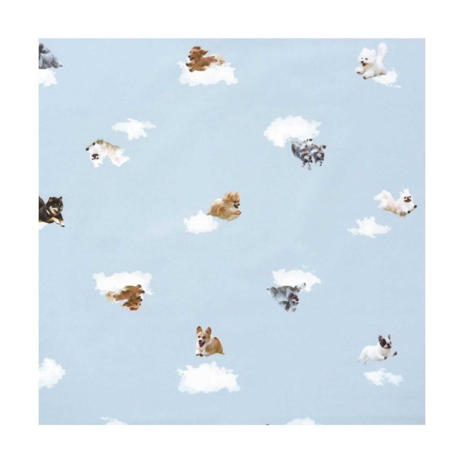 WPC Hikouken (2025) UV Protection UPF 50+ Umbrella 47cm (Saxon Blue)