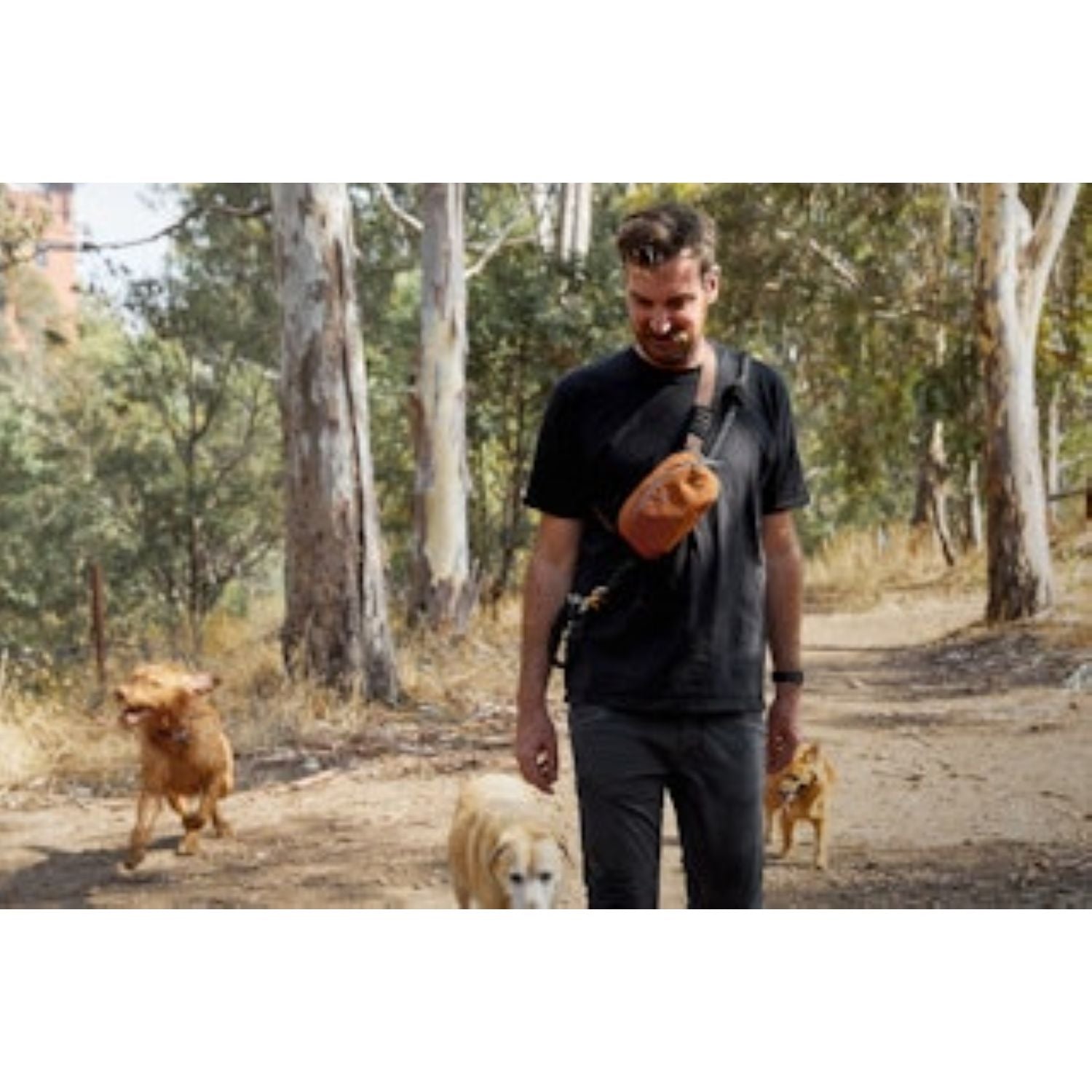 Bellroy Venture Hip Pack 1.5L - Black