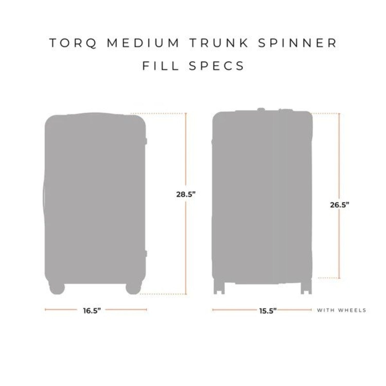 Briggs & Riley Torq 2.0 Medium Trunk Spinner (Stealth)