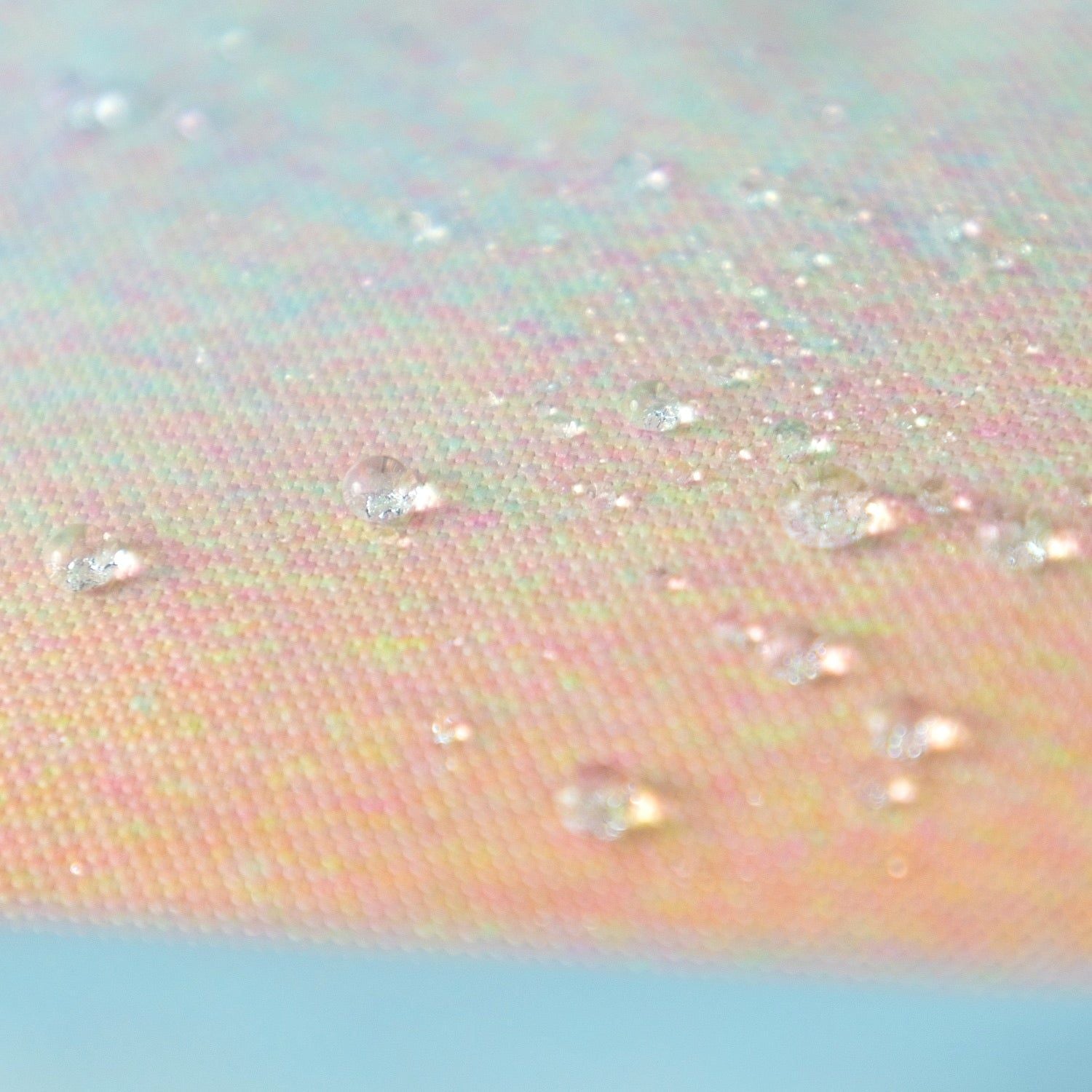 Doughnut Macaroon Dreamwalker Series -  Dreamwalker